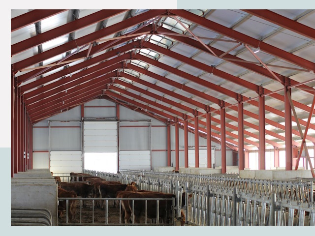 Строительство коровников в Благовещенске